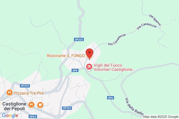 Ristorante Il Fungo Roncobilaccio