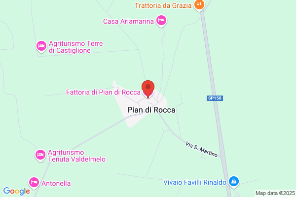 Totti ferreno