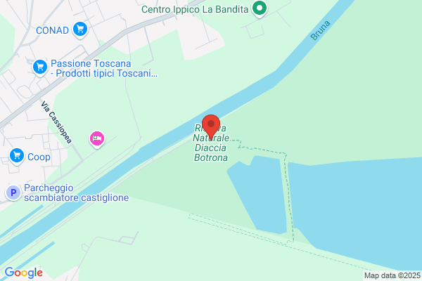Serafin dino