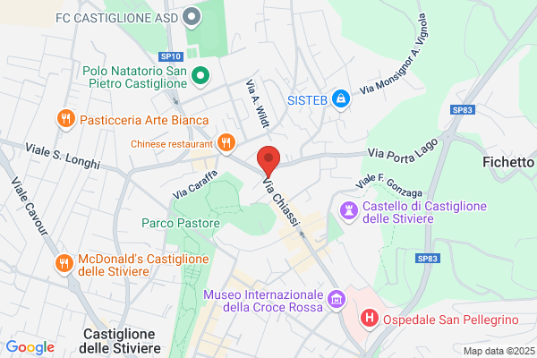 Videocar Service Di Tedoldi Luca E C. (S.N.C.)