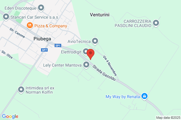 Vanoni angelo (Geom.)
