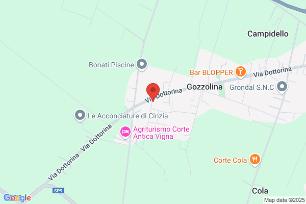 Jollylegno