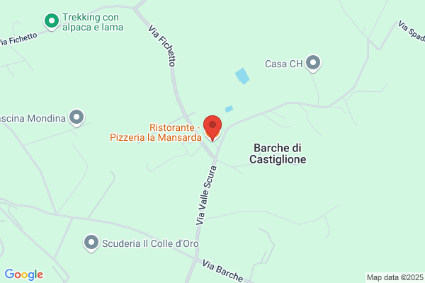 Ristorante Pizzeria La Mansarda