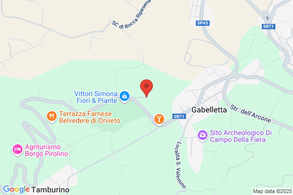 Impresa di Pulizie Calderini