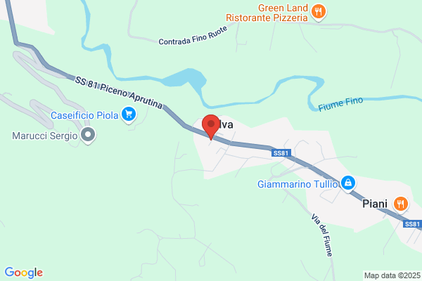 Elettrofonia