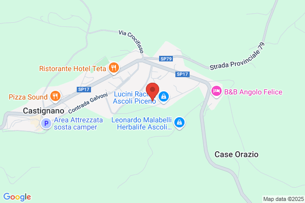 Troiani Services