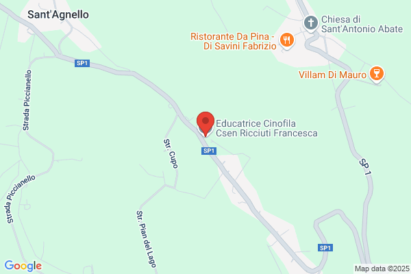 Educatrice Cinofila Csen Ricciuti Francesca