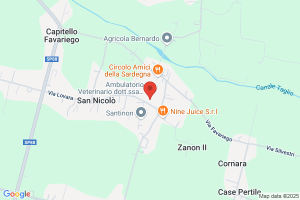 Mici E Amici