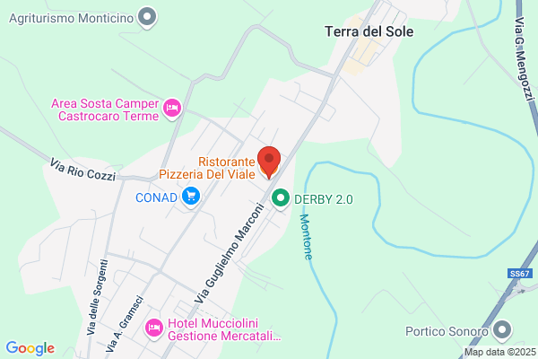 Ristorante Pizzeria del Viale