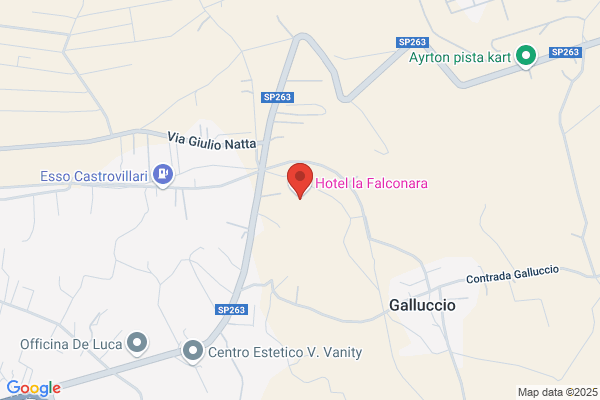 Ristorante - Pizzeria La Falconara