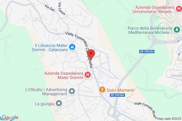 Consigli di Viaggi