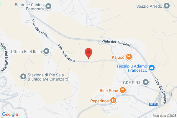 Napolitano fabio