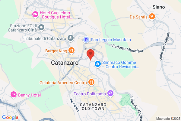 Ambulanza Nuova Croce Azzurra Onlus