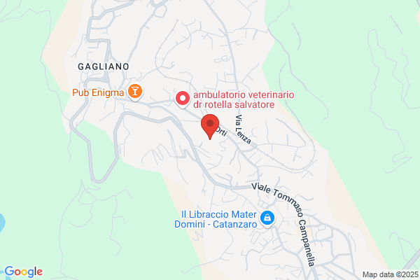 Scuola Media Statale Galati
