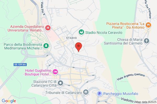 Scuole Pubbliche Istituto Tecnico Femminile B.Chimirri