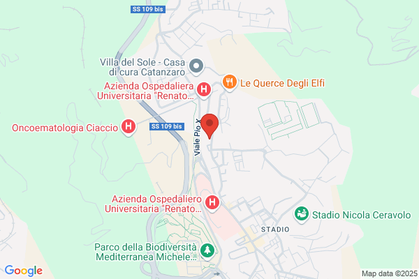 Merante Critelli luigi