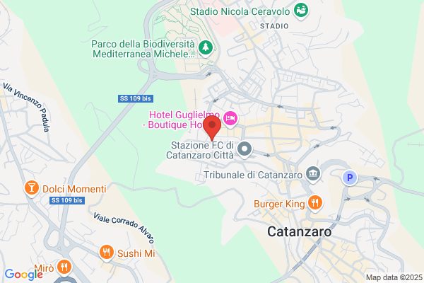 Rodino maurizio (Avv.)