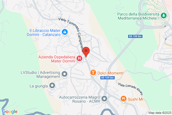 Ruoppolo francesco