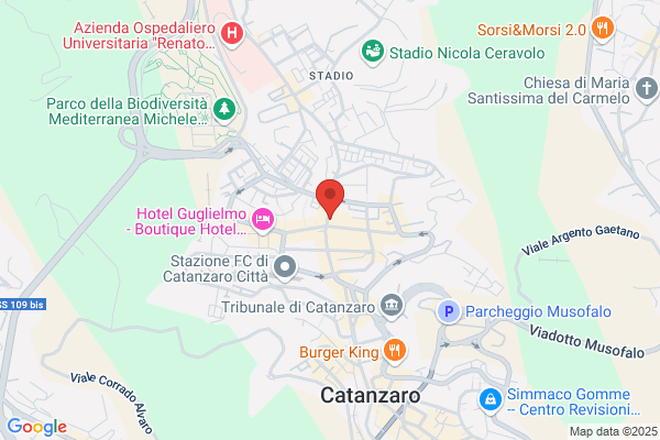 Voglia Di Maglia Di Carnovale Fabio
