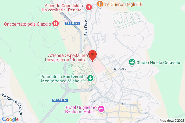 Quattromani domenico (Dr.)
