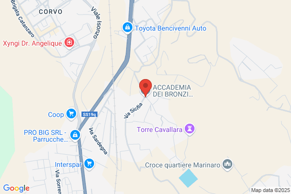 Nuova Accademia Dei Bronzi