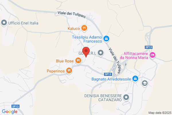 Procopio salvatore (Geom.)
