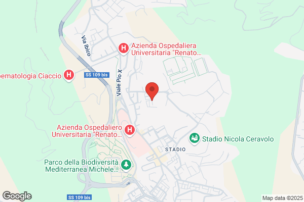 Universita Degli Studi Di Catanzaro