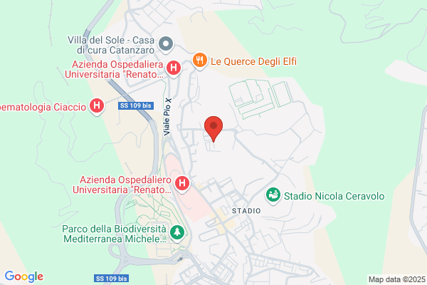 Universita Degli Studi Di Catanzaro Magna Graecia