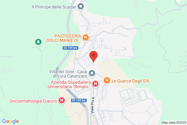 Il Karato Di Benincasa Attilio