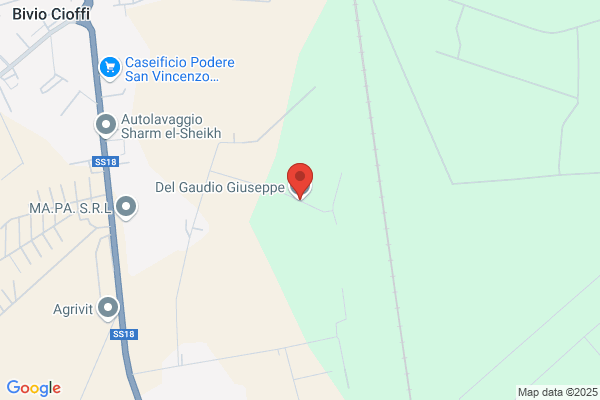 Gaudio Giuseppe