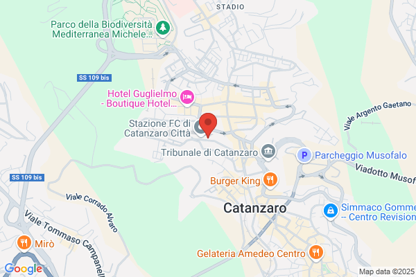 Gest.Comm.Gov. Per Le Ferrovie Della Calabria Ed aut.Integ.