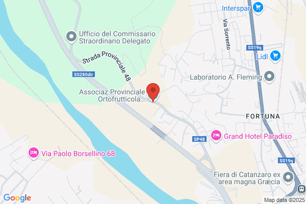 Silipo francesco