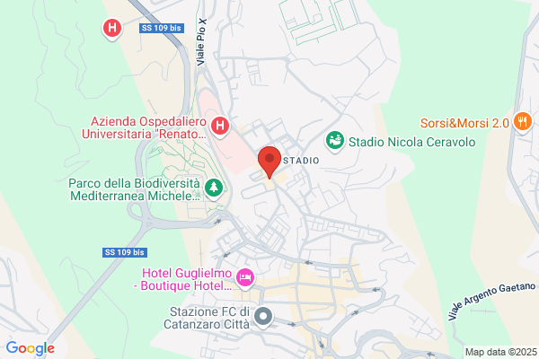Ristorante Pizzeria Pinseria Manfredi