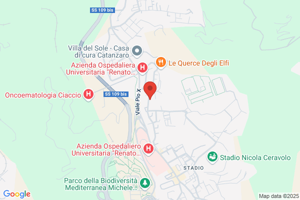 Ferrara Vito