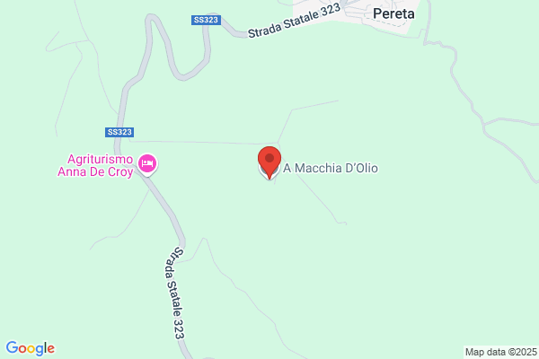 Macchia dino