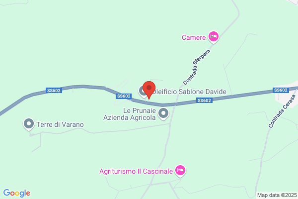 Verna egidio (Geom.)