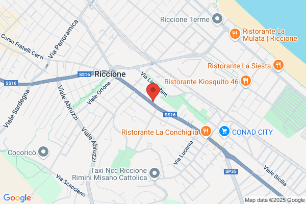 Officina Lautomobile Di Bacchini A.& Monti W (S.N.C.)