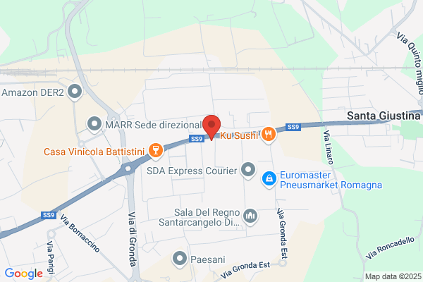 Romagna Adriatica Elevatori S.R.L.