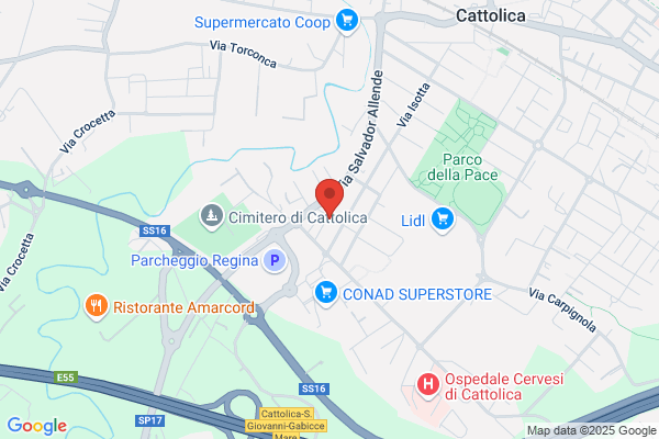 Subito Disinfestazioni