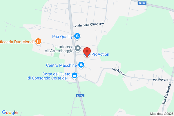 Pro Action Italia Di Palladino P.
