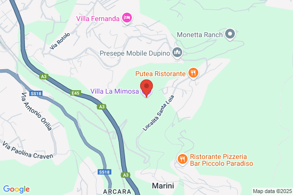 La Mimosa Di Rubini Anna Maria