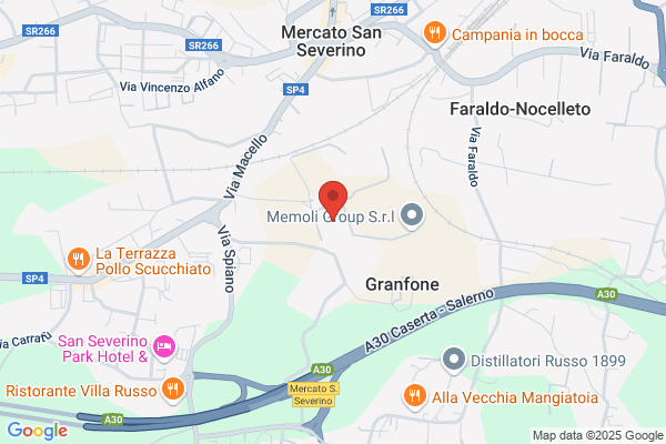 Metelliana S.P.A.Servizi Informatici