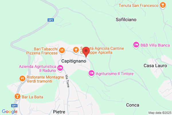 Casa Vinicola Mario Apicella Srl