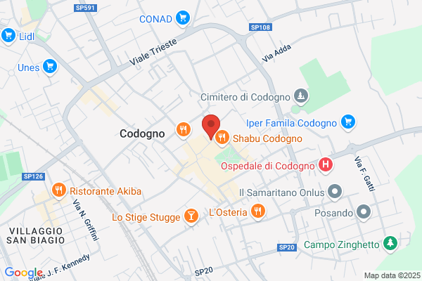 Tartaruga Viaggi
