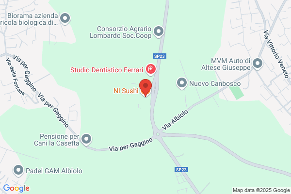 Ni Sushipub