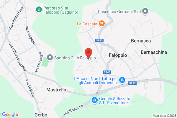 Ponteggi Lario