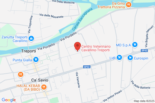 Centro Veterinario Cavallino-Treporti