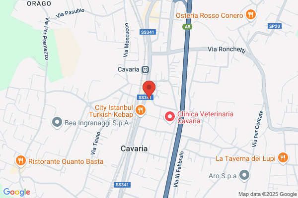 Il Continente Nero (S.R.L.)