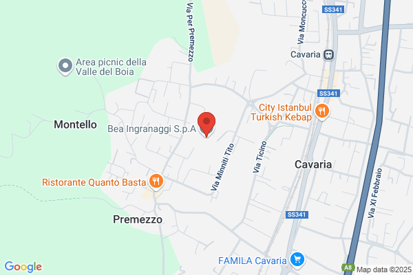 So.Me.Ga. Ingranaggi Srl
