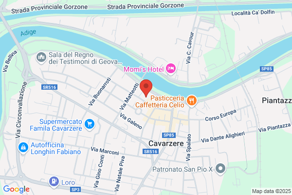 Tamburin gino